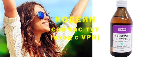 ПСИЛОЦИБИНОВЫЕ ГРИБЫ Вяземский