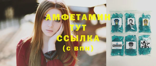 ПСИЛОЦИБИНОВЫЕ ГРИБЫ Вяземский