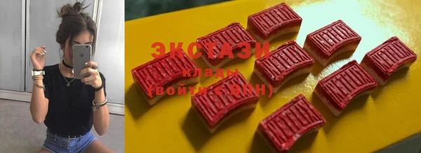 ПСИЛОЦИБИНОВЫЕ ГРИБЫ Вяземский