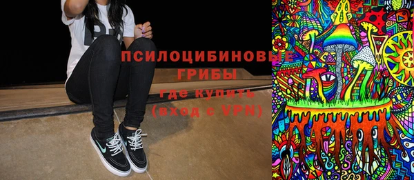 ПСИЛОЦИБИНОВЫЕ ГРИБЫ Вяземский