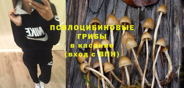 первитин Вязьма
