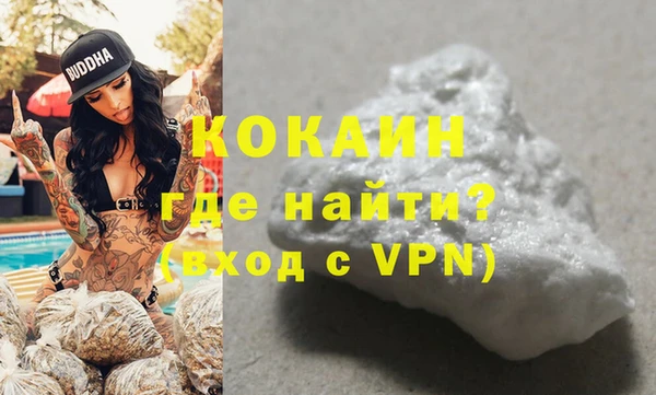 ПСИЛОЦИБИНОВЫЕ ГРИБЫ Вяземский
