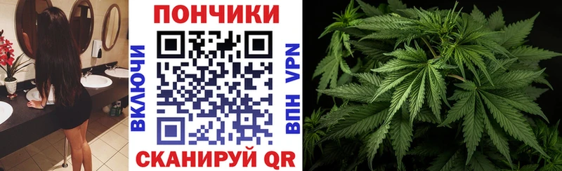 Шишки марихуана тримм  купить наркоту  Жиздра 